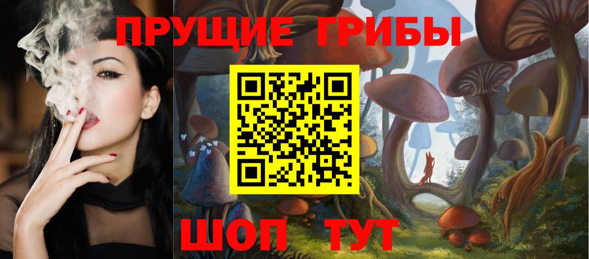 Псилоцибиновые грибы мицелий Вязьма
